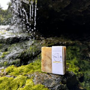 Chamomile